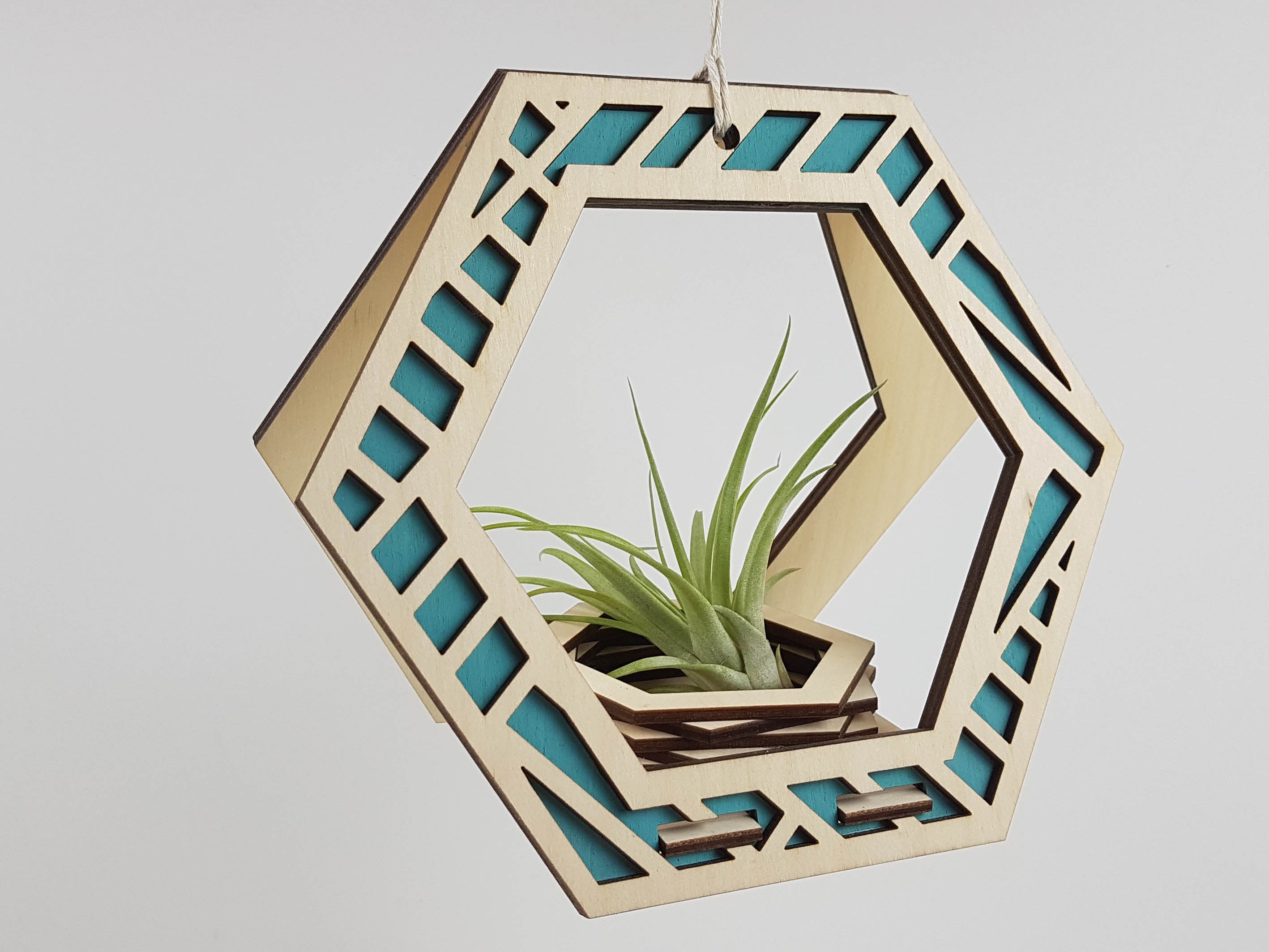 Plant Hanger - Natural Stain