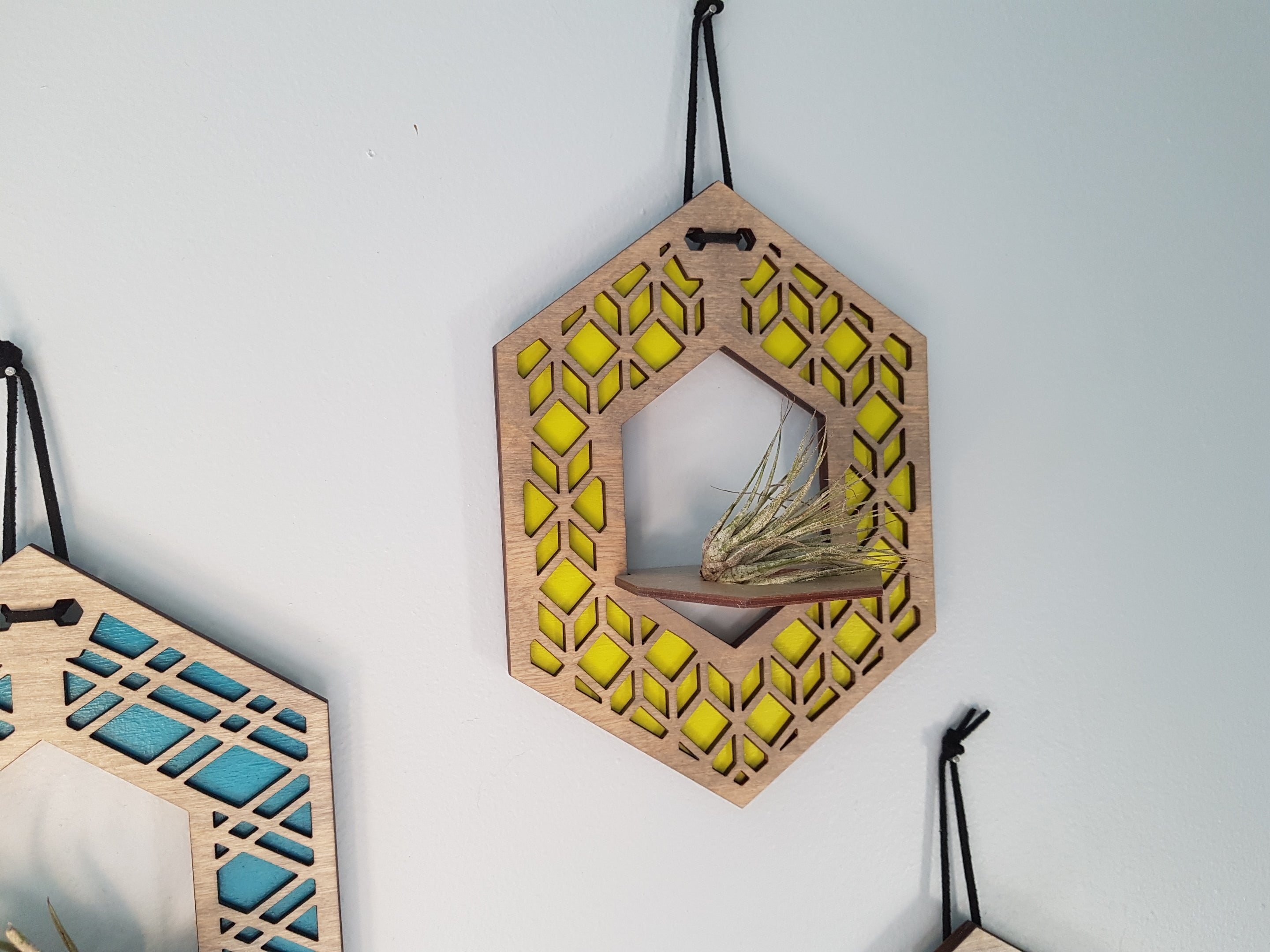 Mini Air Plant Hanger - Grey Stain