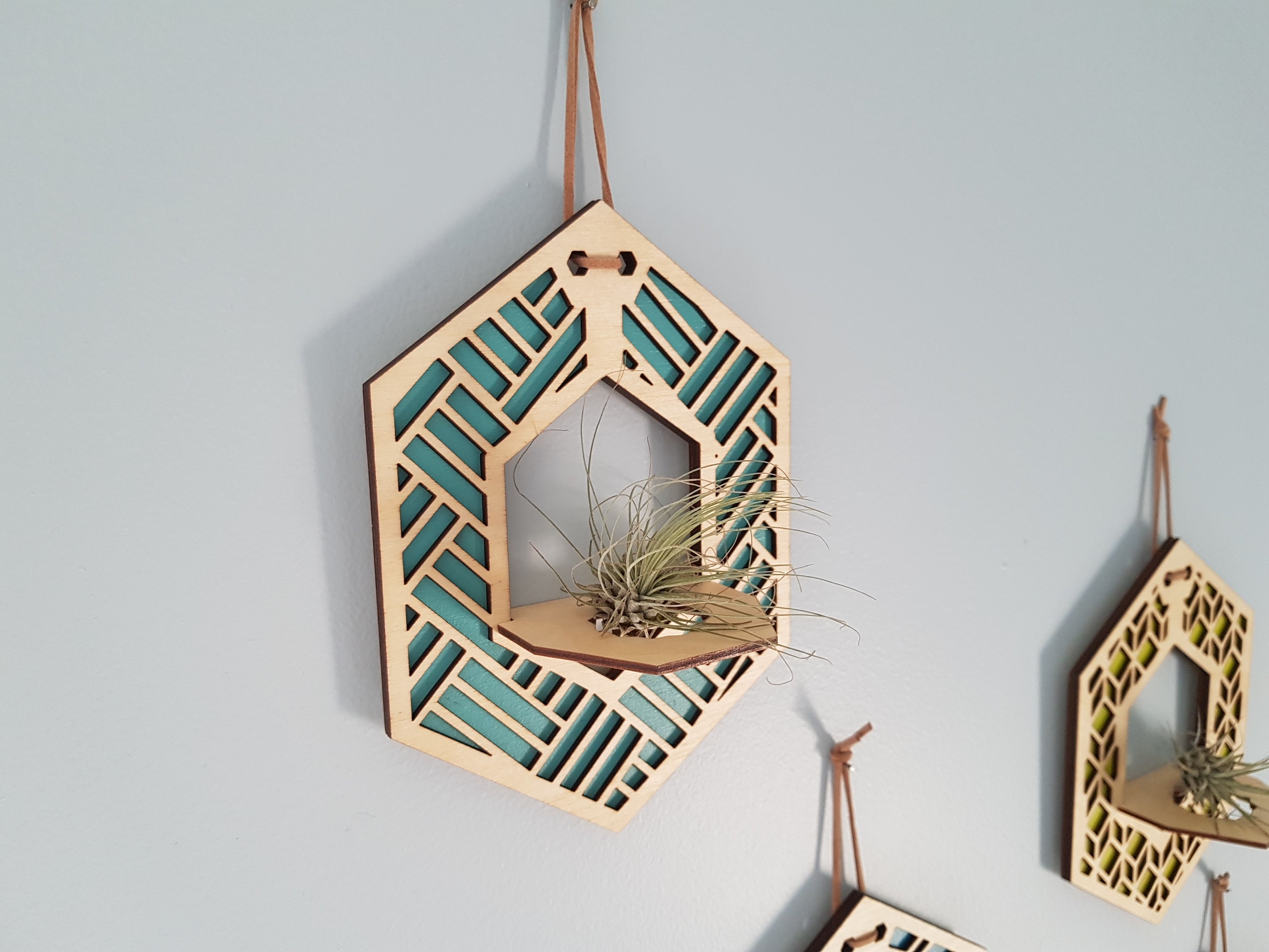 Mini Air Plant Hanger - Natural Stain