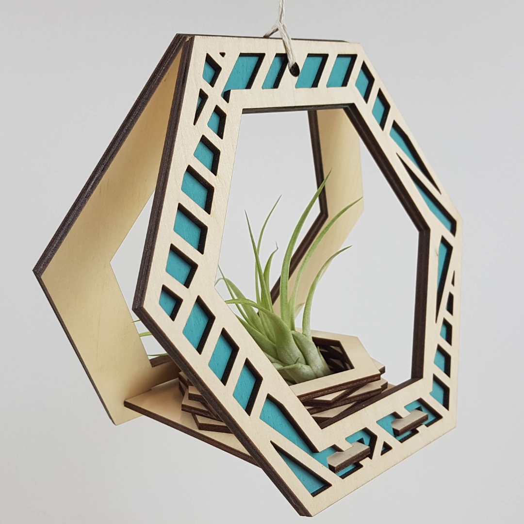 Plant Lovers Gift Bundle