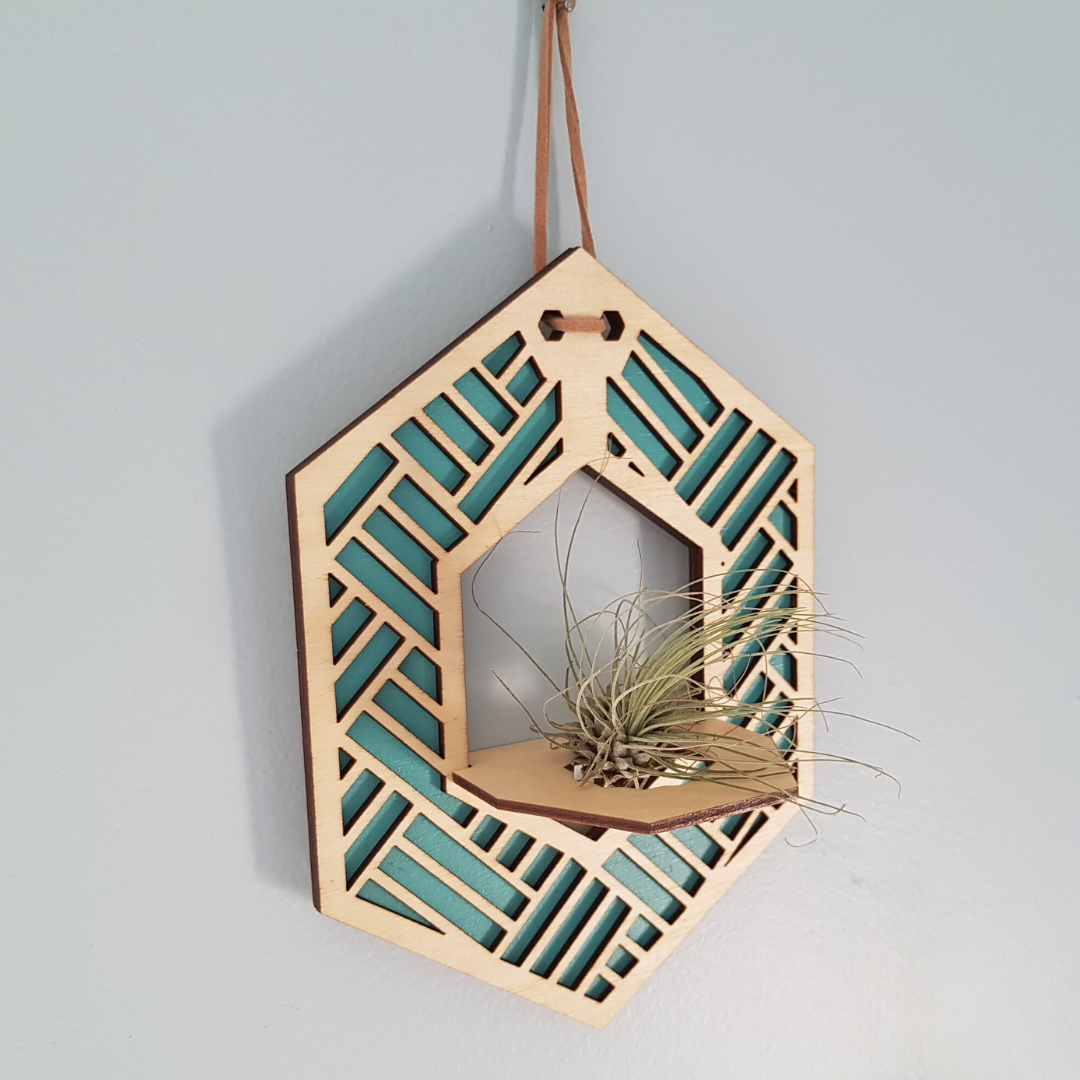 Plant Lovers Gift Bundle