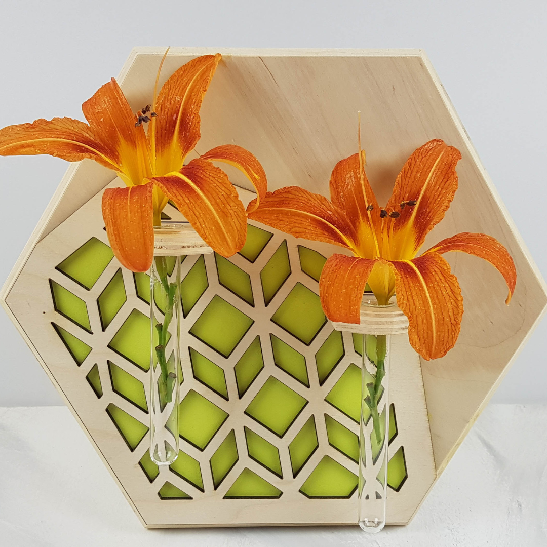 Plant Lovers Gift Bundle