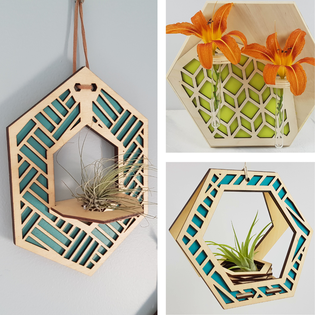 Plant Lovers Gift Bundle