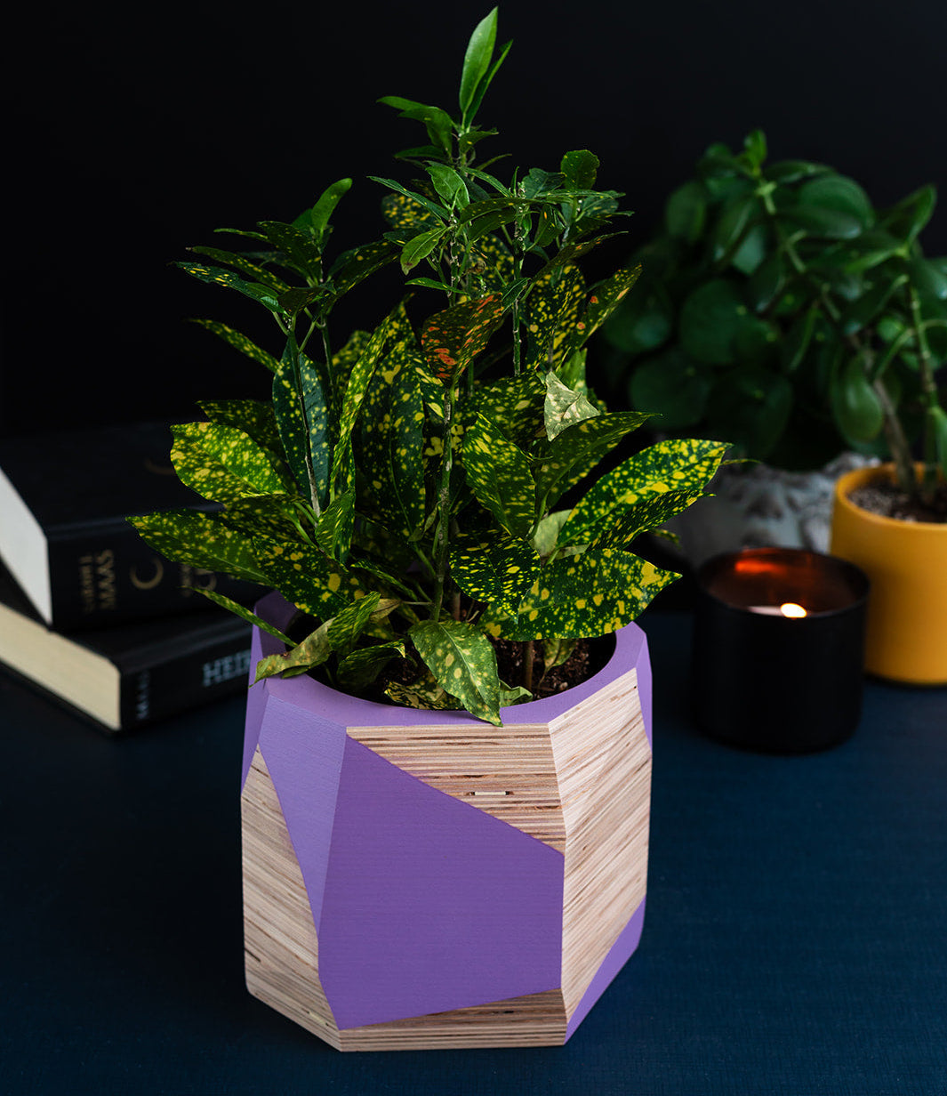 Jardinière en Contreplaqué - Petite