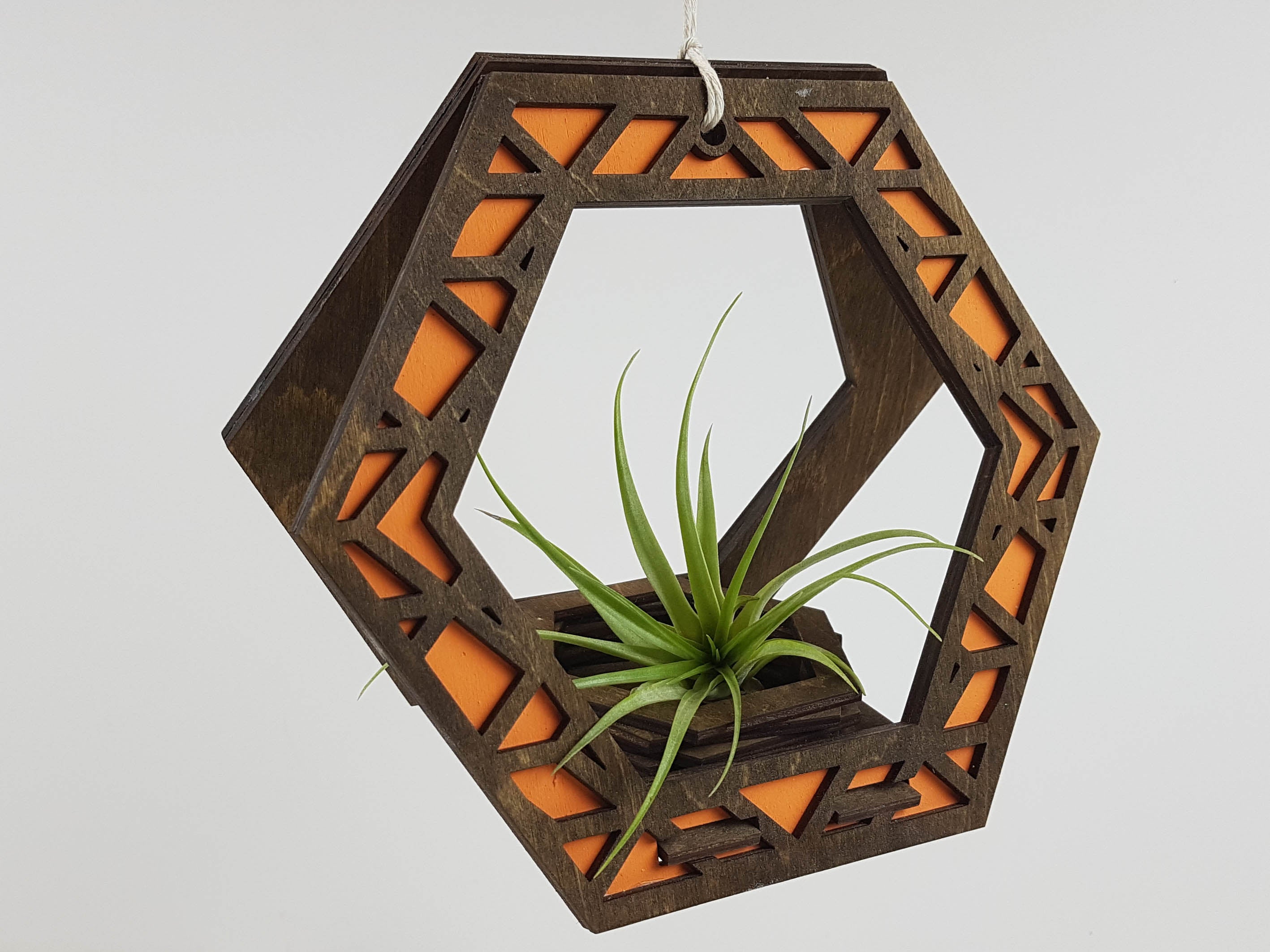 Suspension pour Plantes - Teinture Noyer