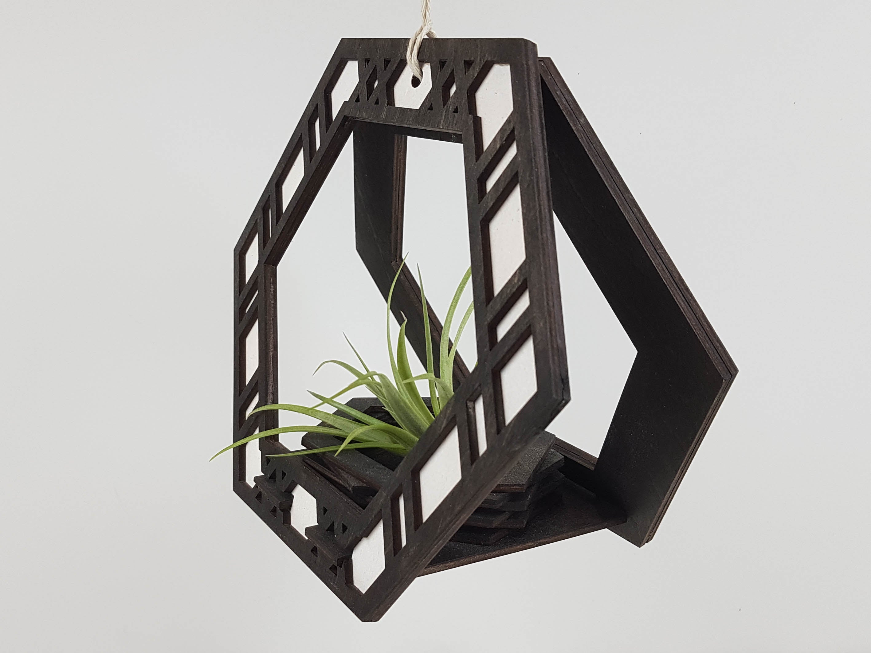 Plant Hanger - Black Stain