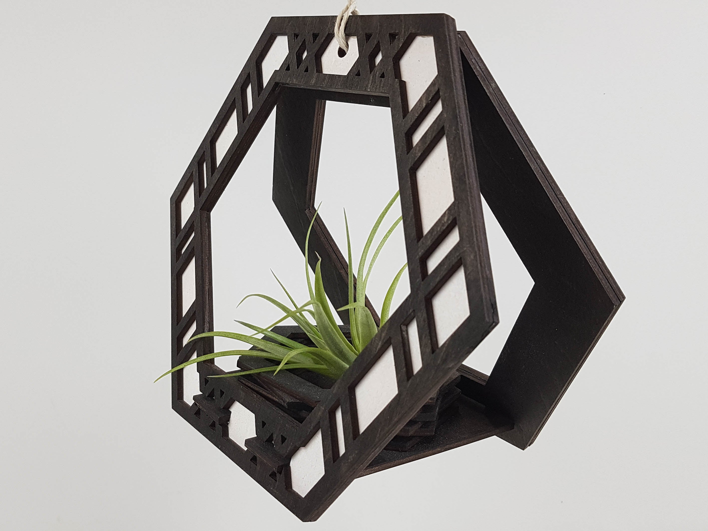 Plant Hanger - Black Stain