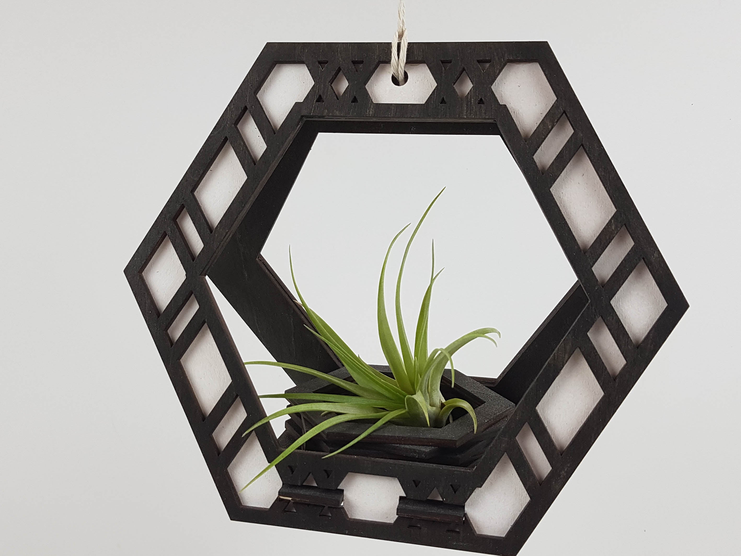 Suspension pour plantes - Teinture noire