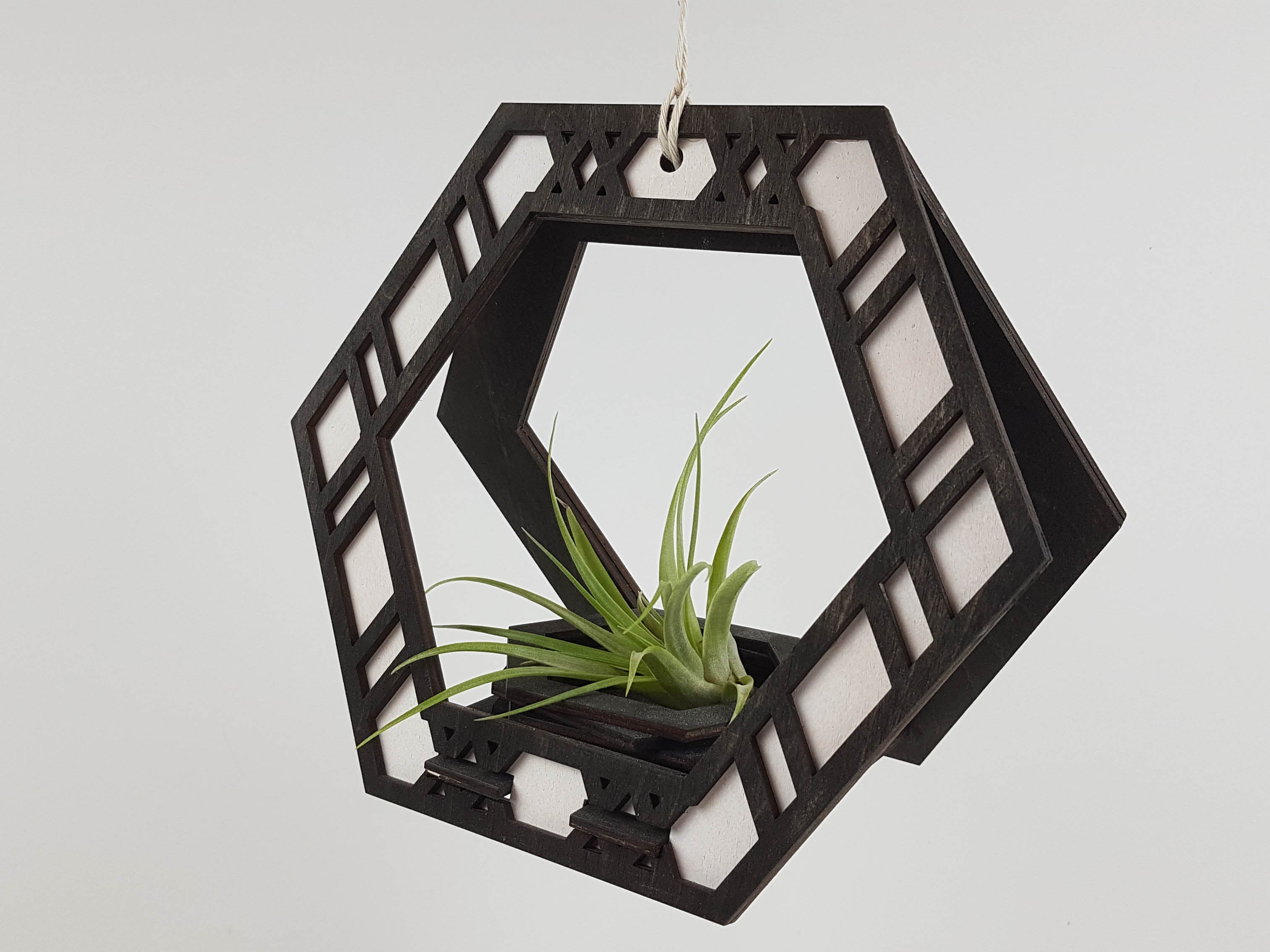 Plant Hanger - Black Stain