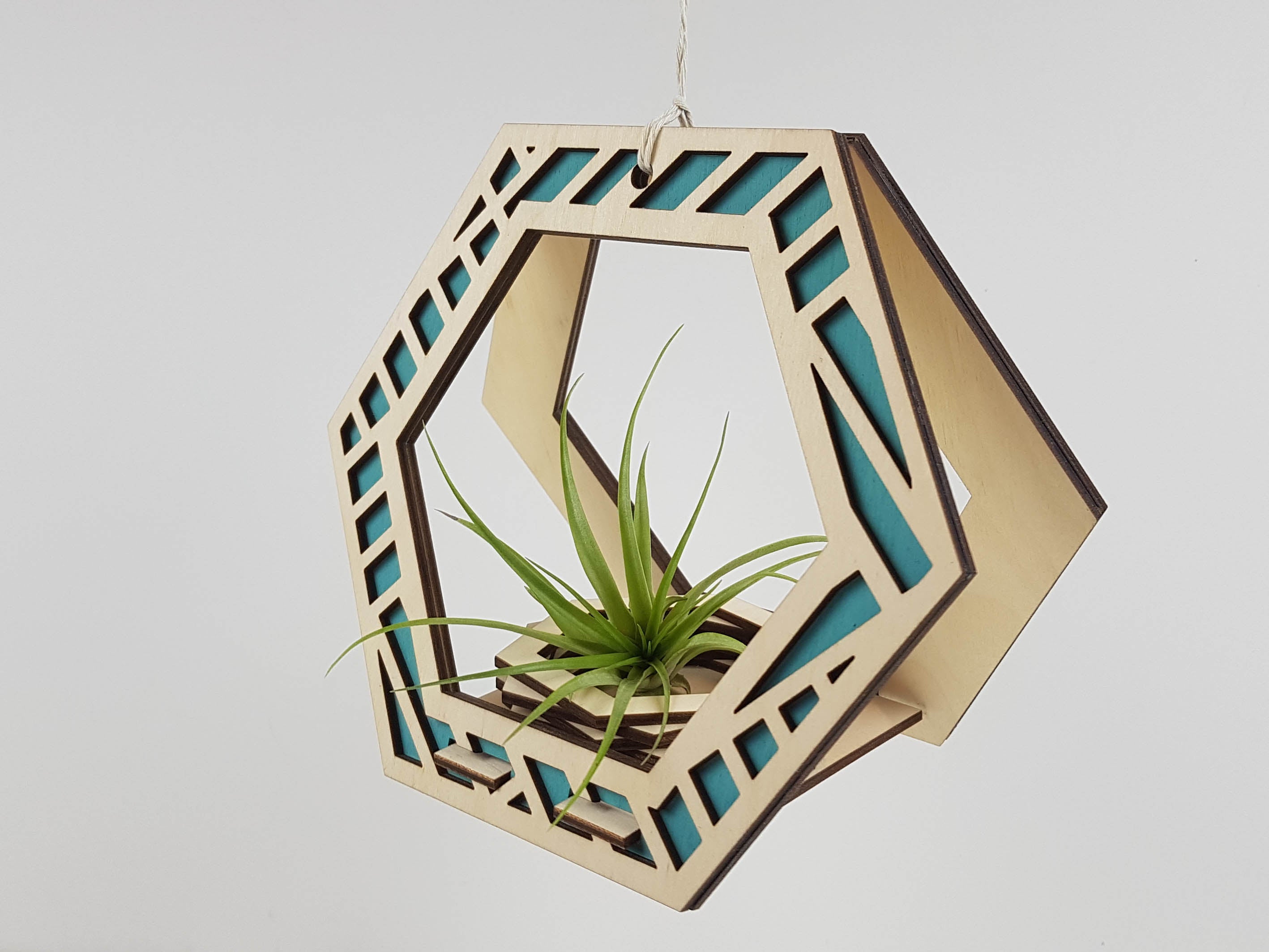 Suspension pour plantes - Teinture naturelle