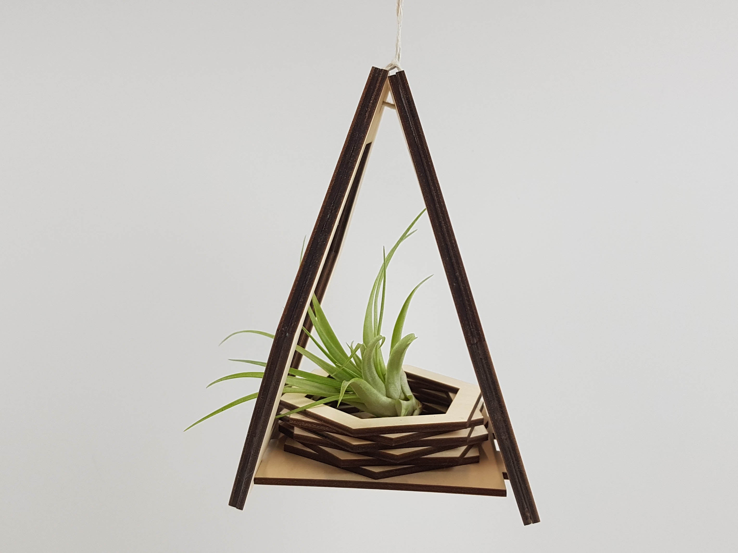 Plant Hanger - Black Stain