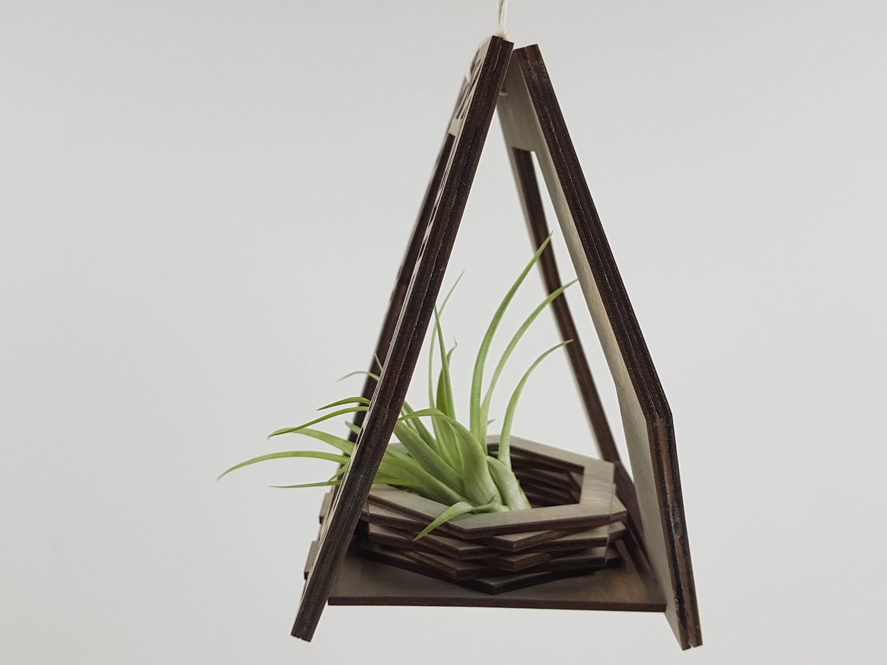 Suspension pour Plantes - Teinture Grise