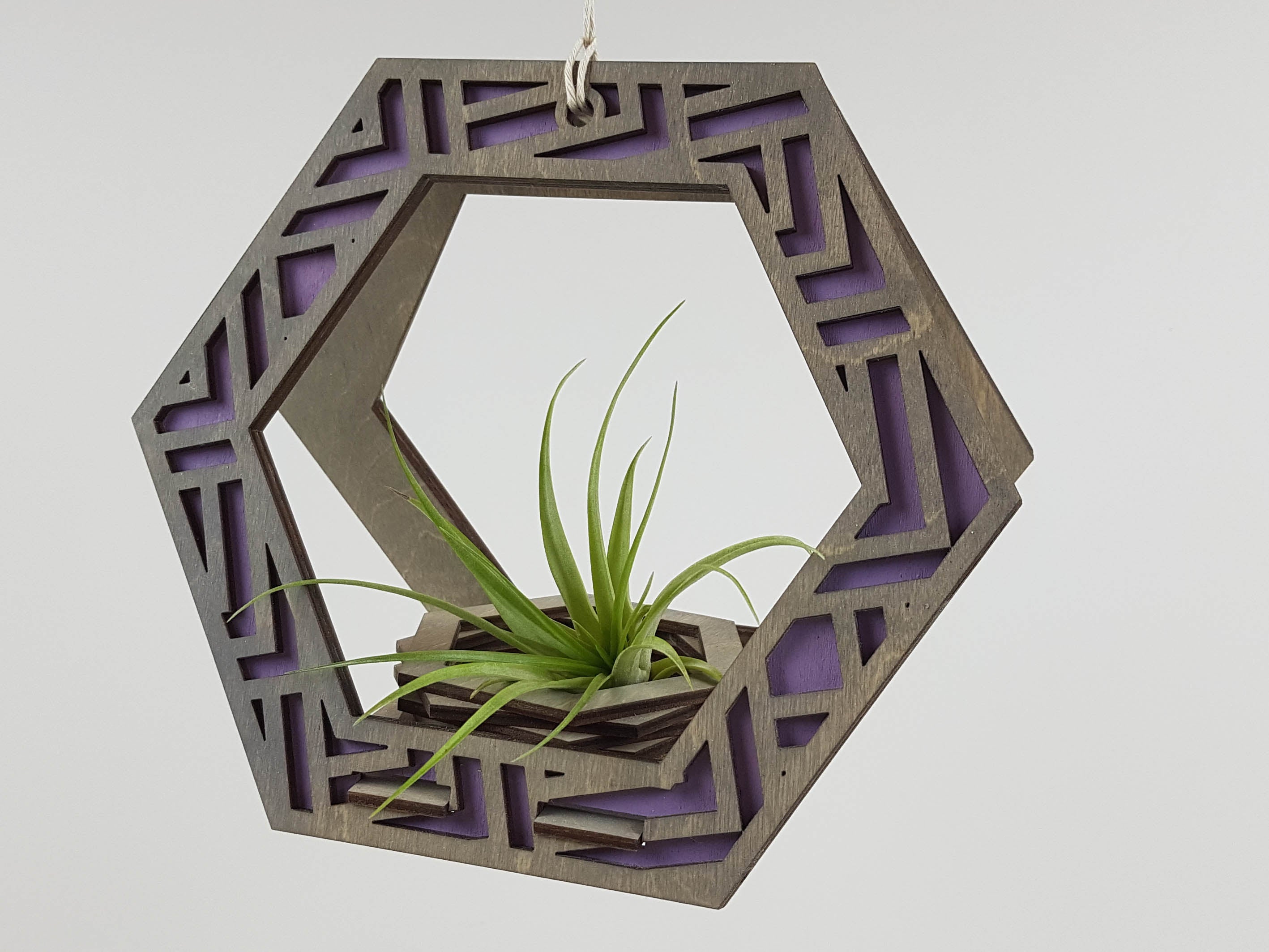 Plant Hangers – Wood Chip Decor