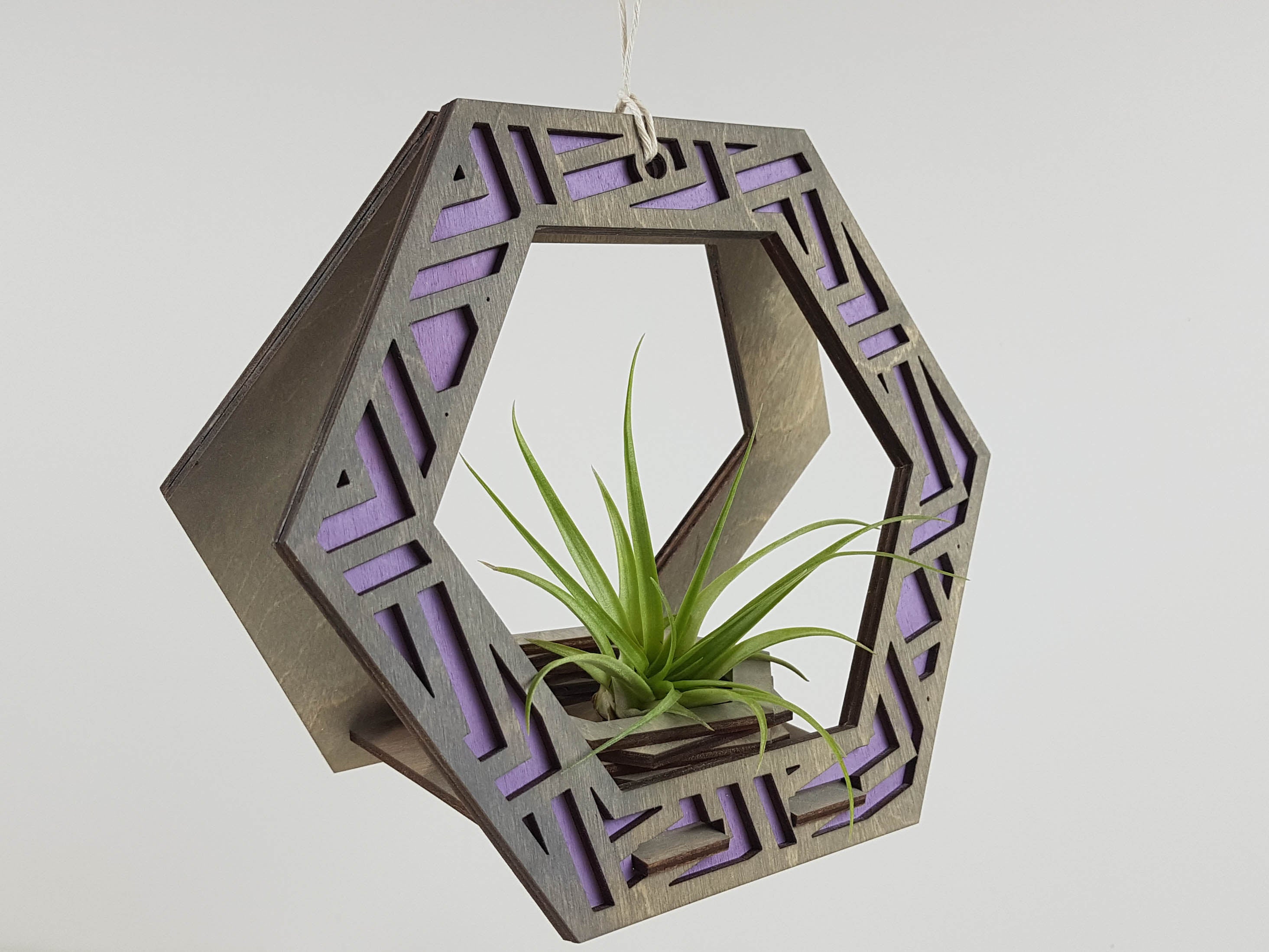 Suspension pour Plantes - Teinture Grise