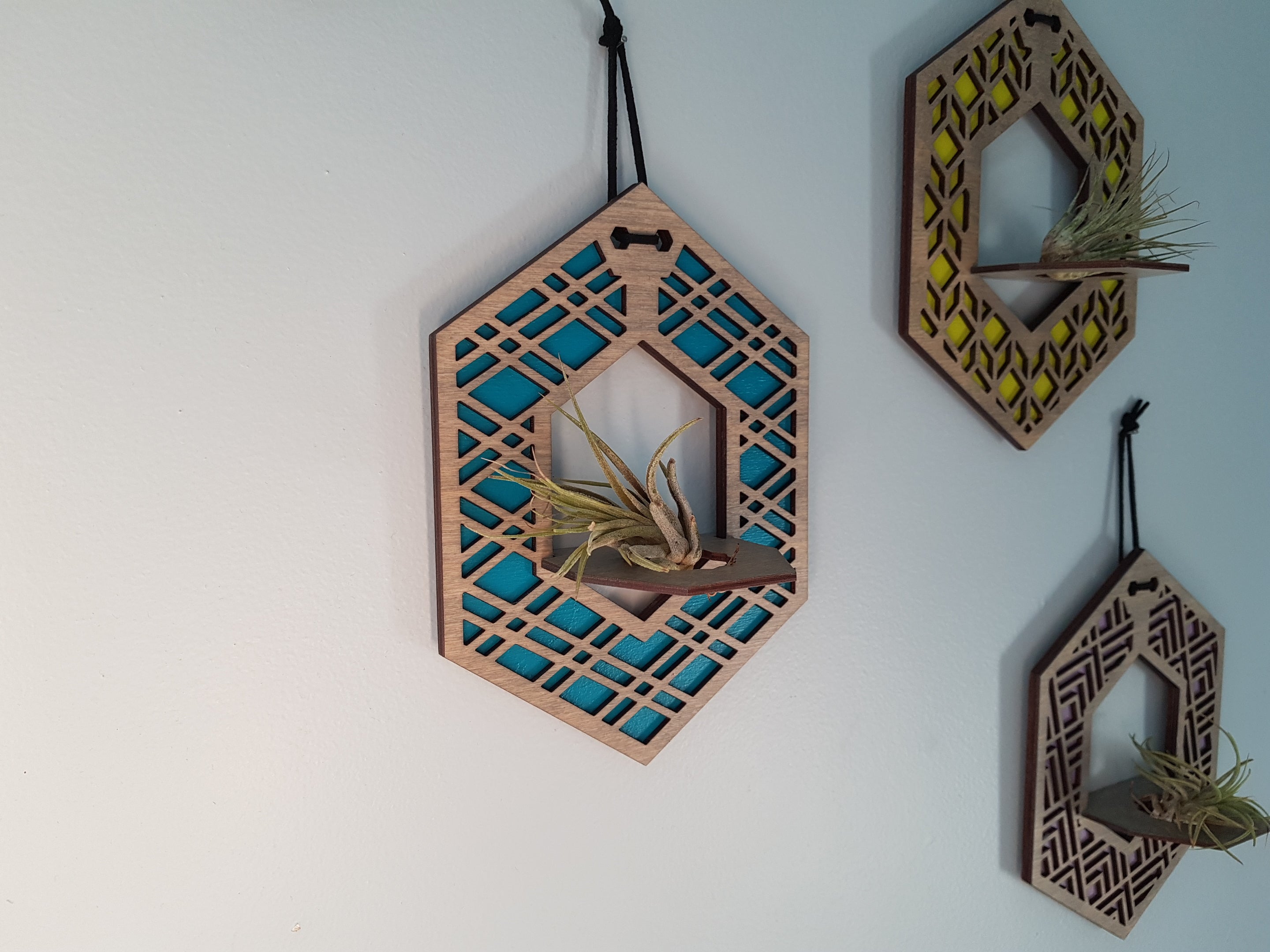 Mini Air Plant Hanger - Grey Stain