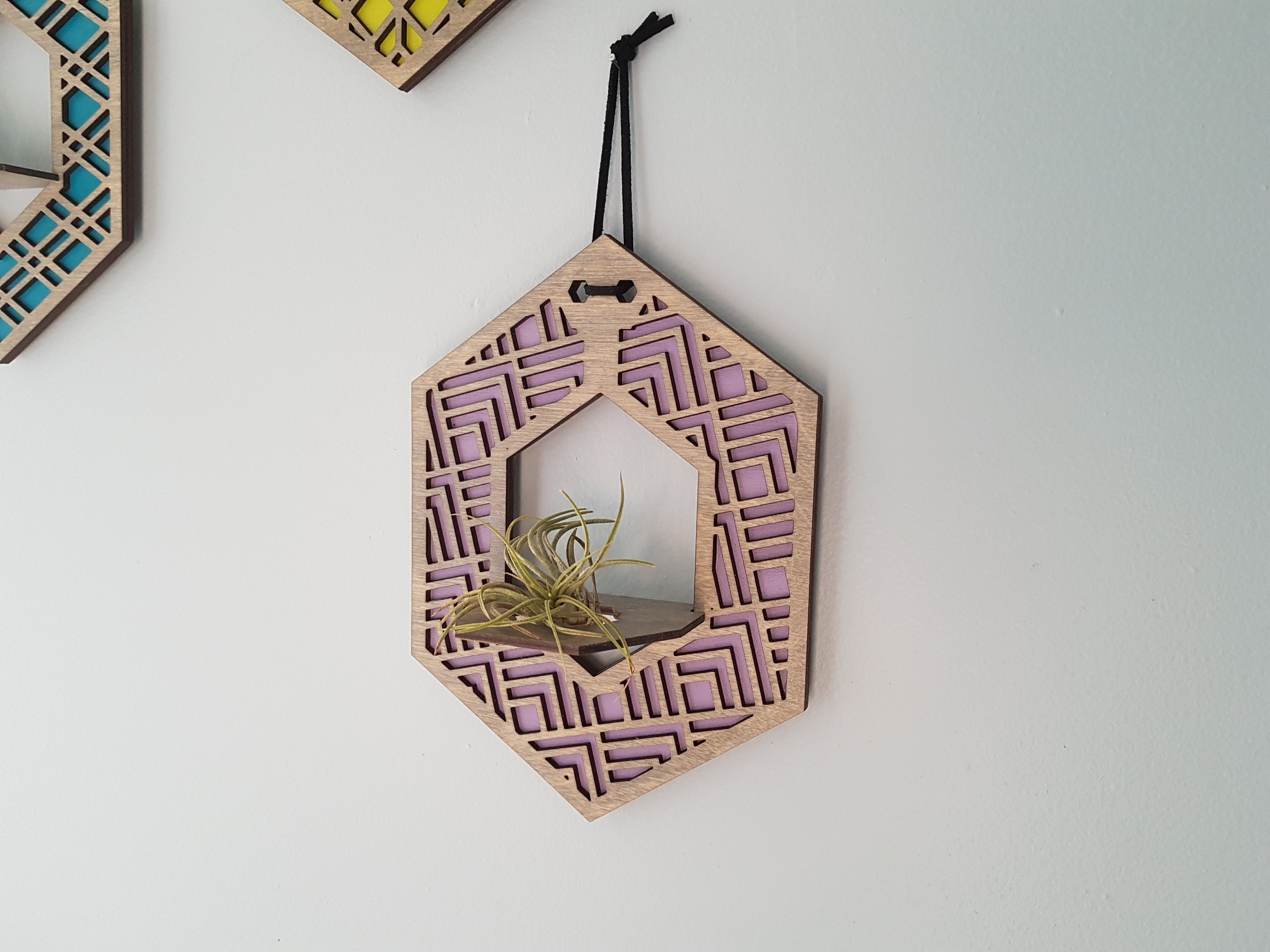 Mini Air Plant Hanger - Grey Stain