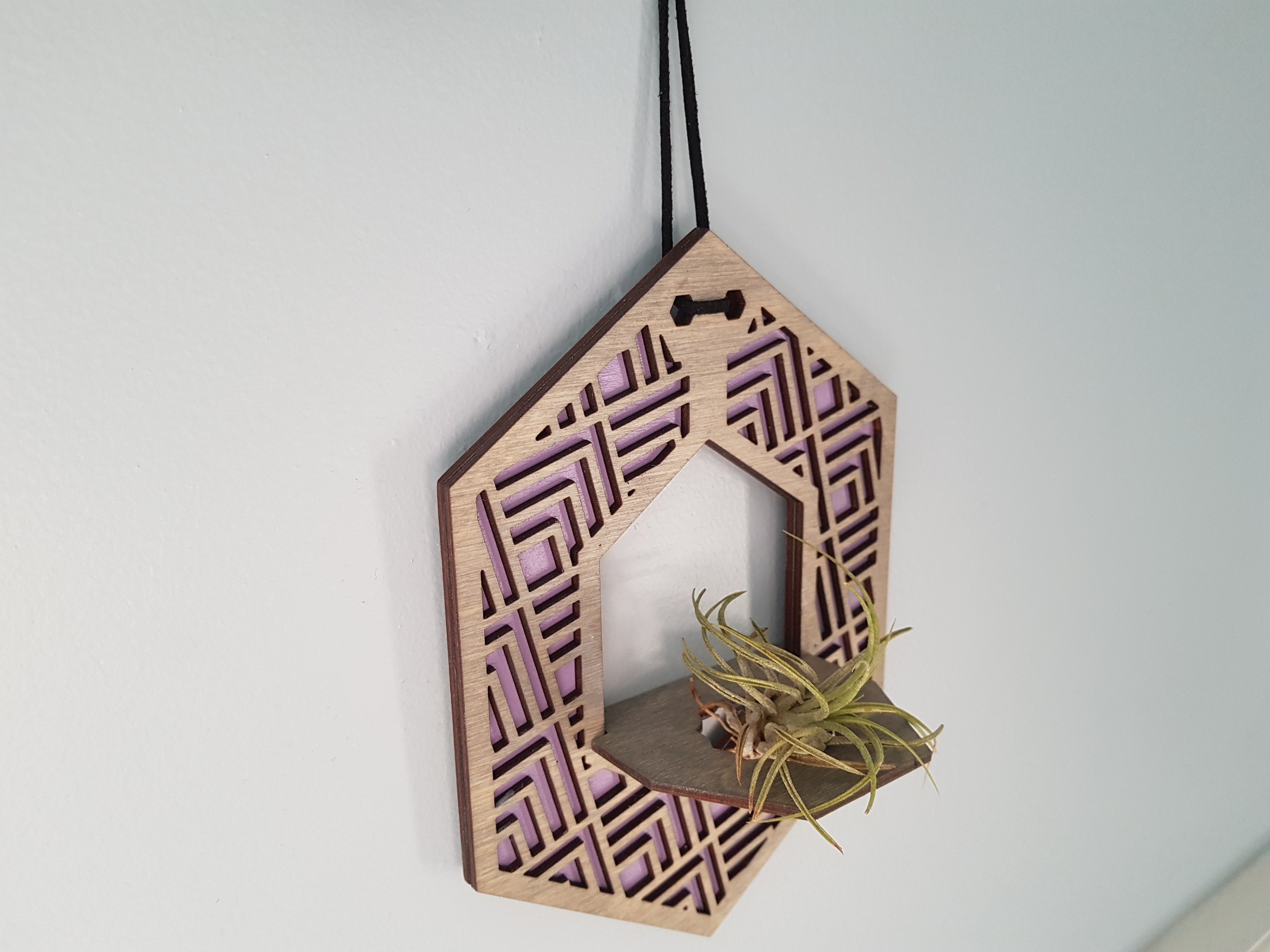 Mini Air Plant Hanger - Grey Stain