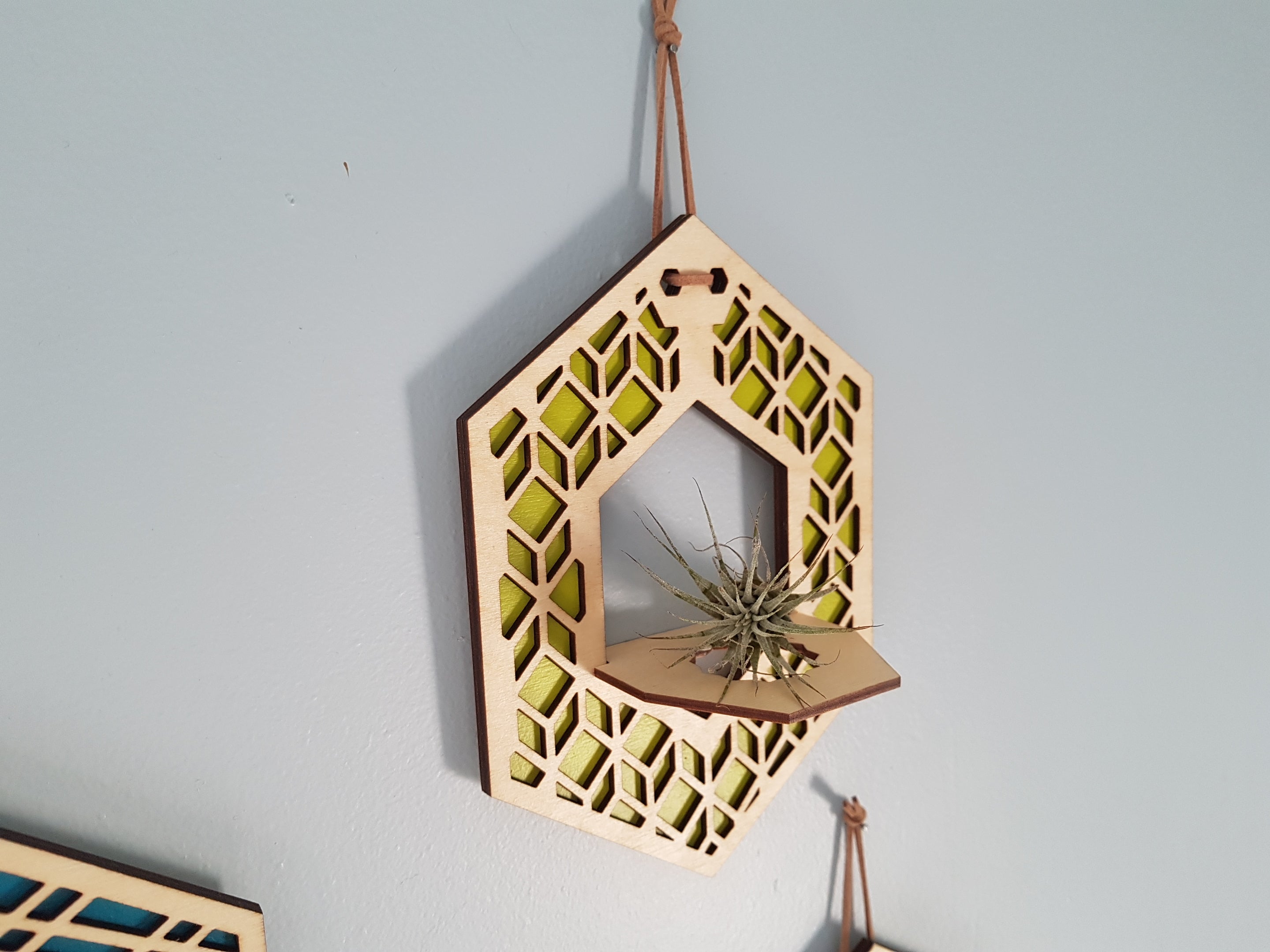 Mini Air Plant Hanger - Natural Stain