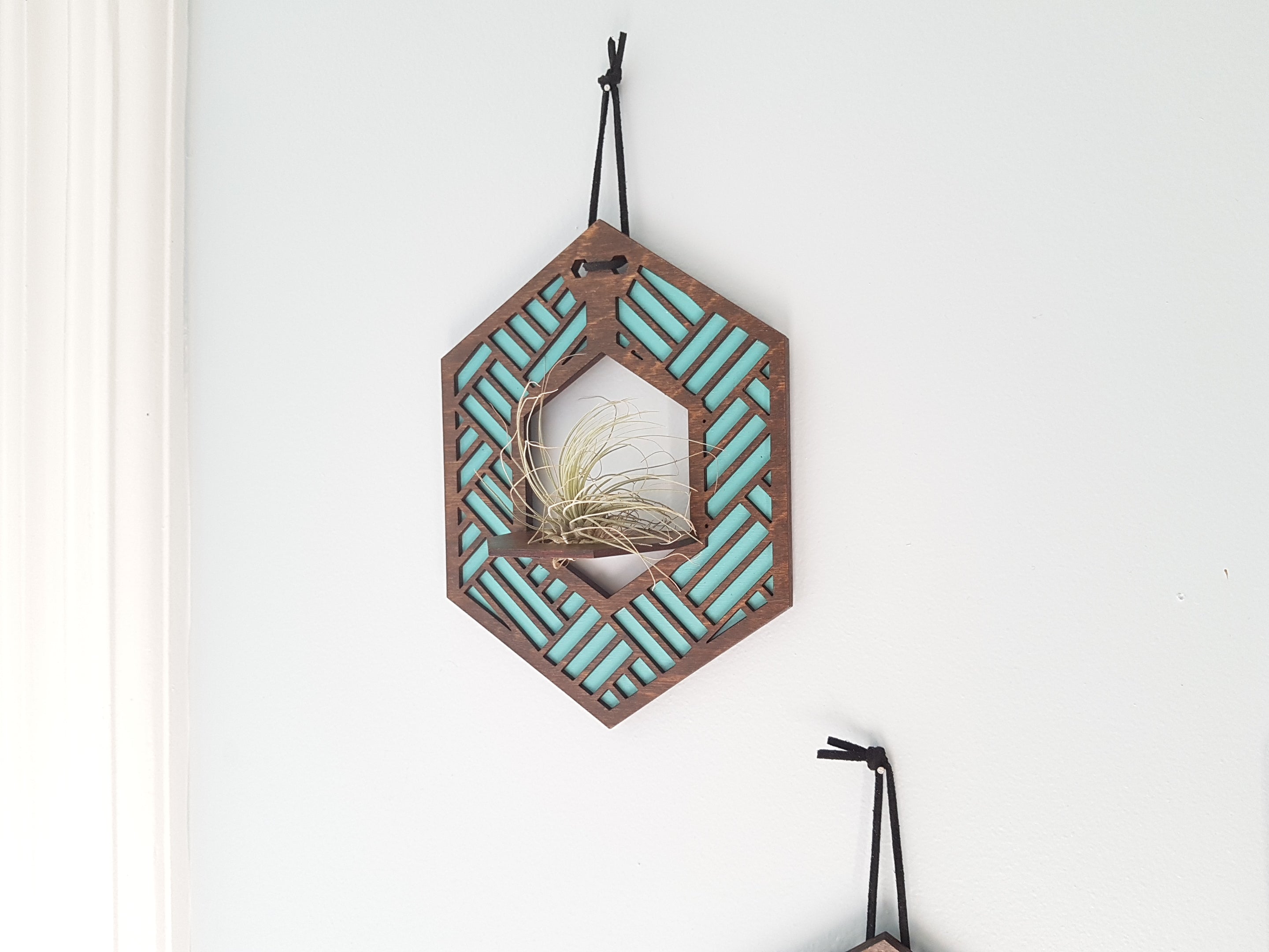 Mini Suspension pour Plantes Aériennes - Noyer Teinté