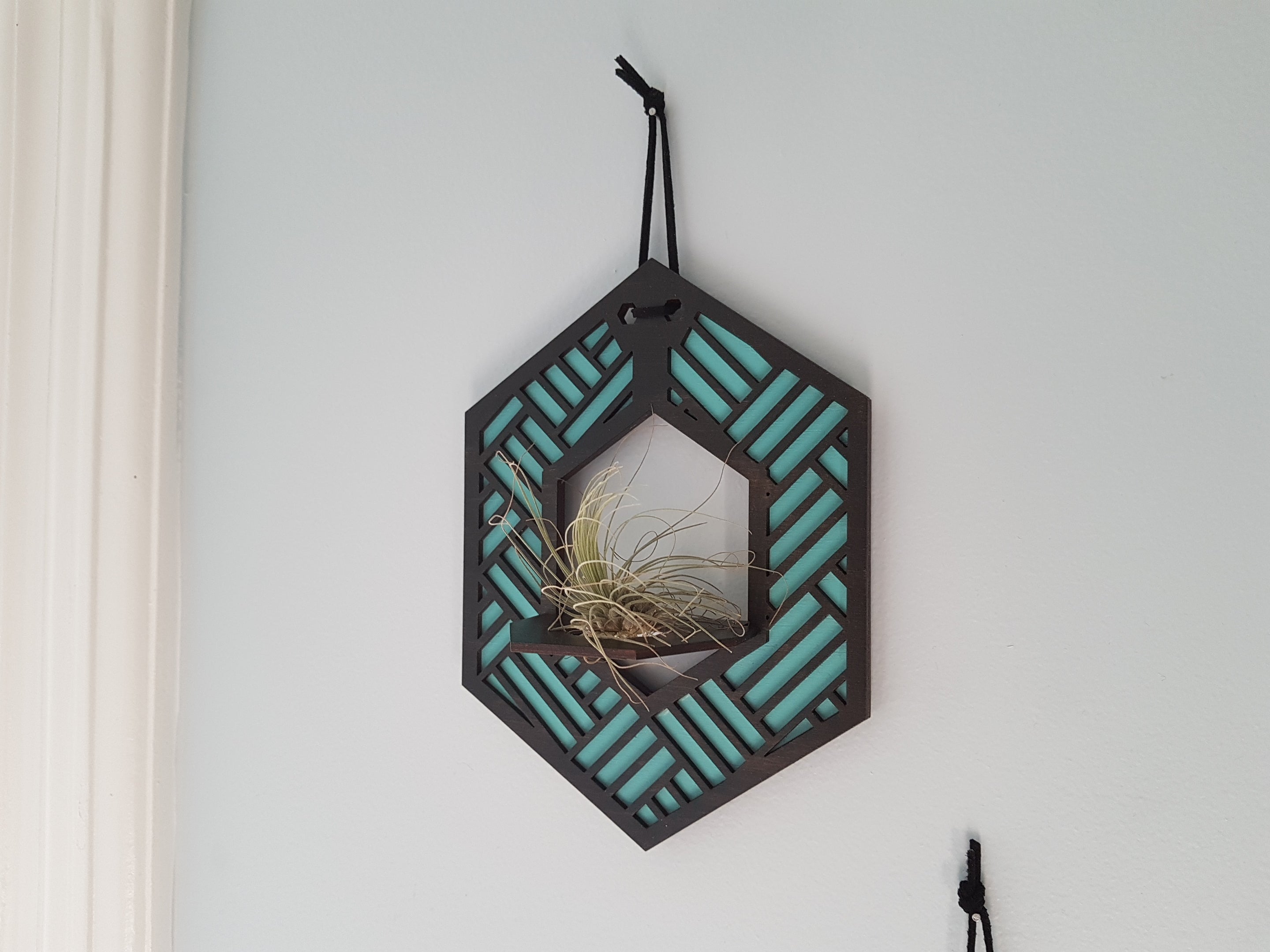 Mini Air Plant Hanger - Black Stain