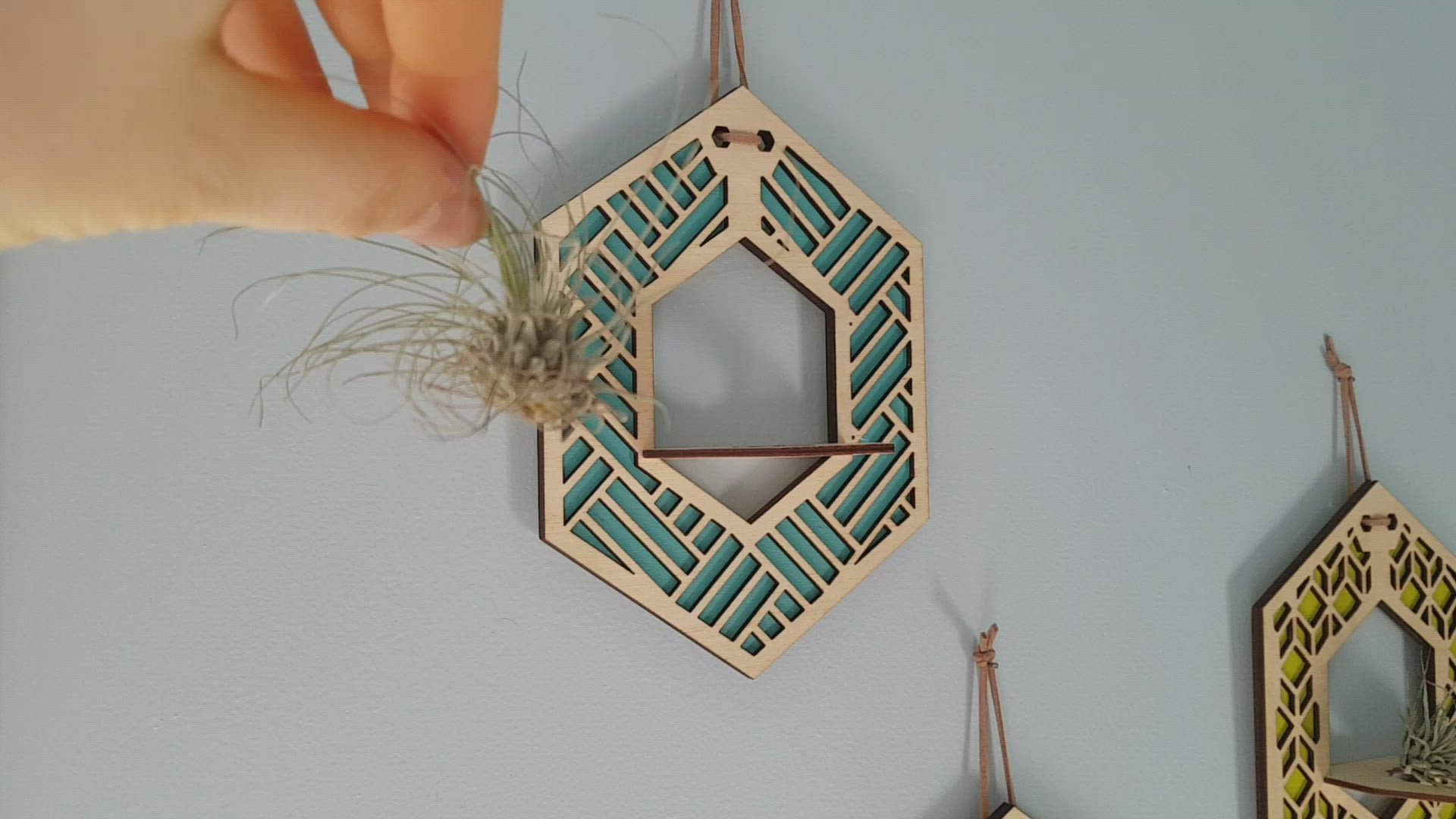 Mini Suspension pour Plantes Aériennes - Teinture Naturelle