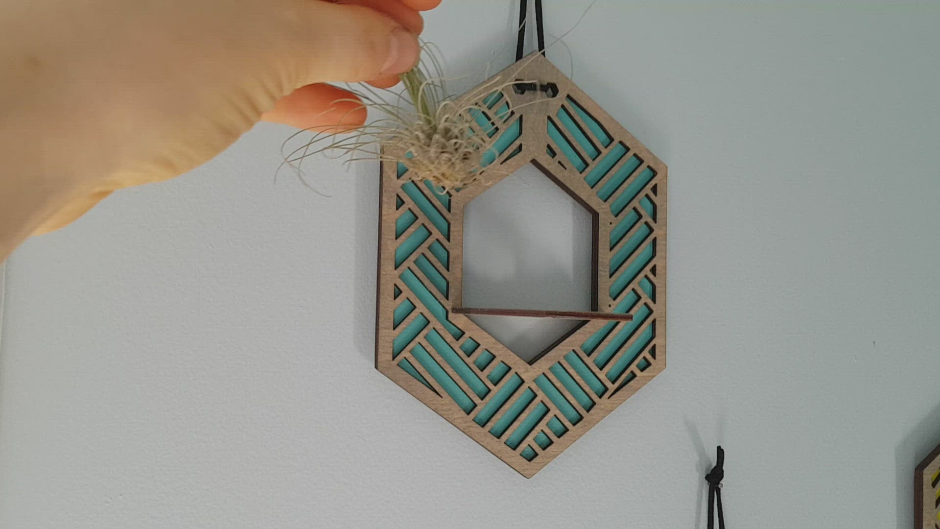 Suspension Mini Air Plant - Teinture Grise